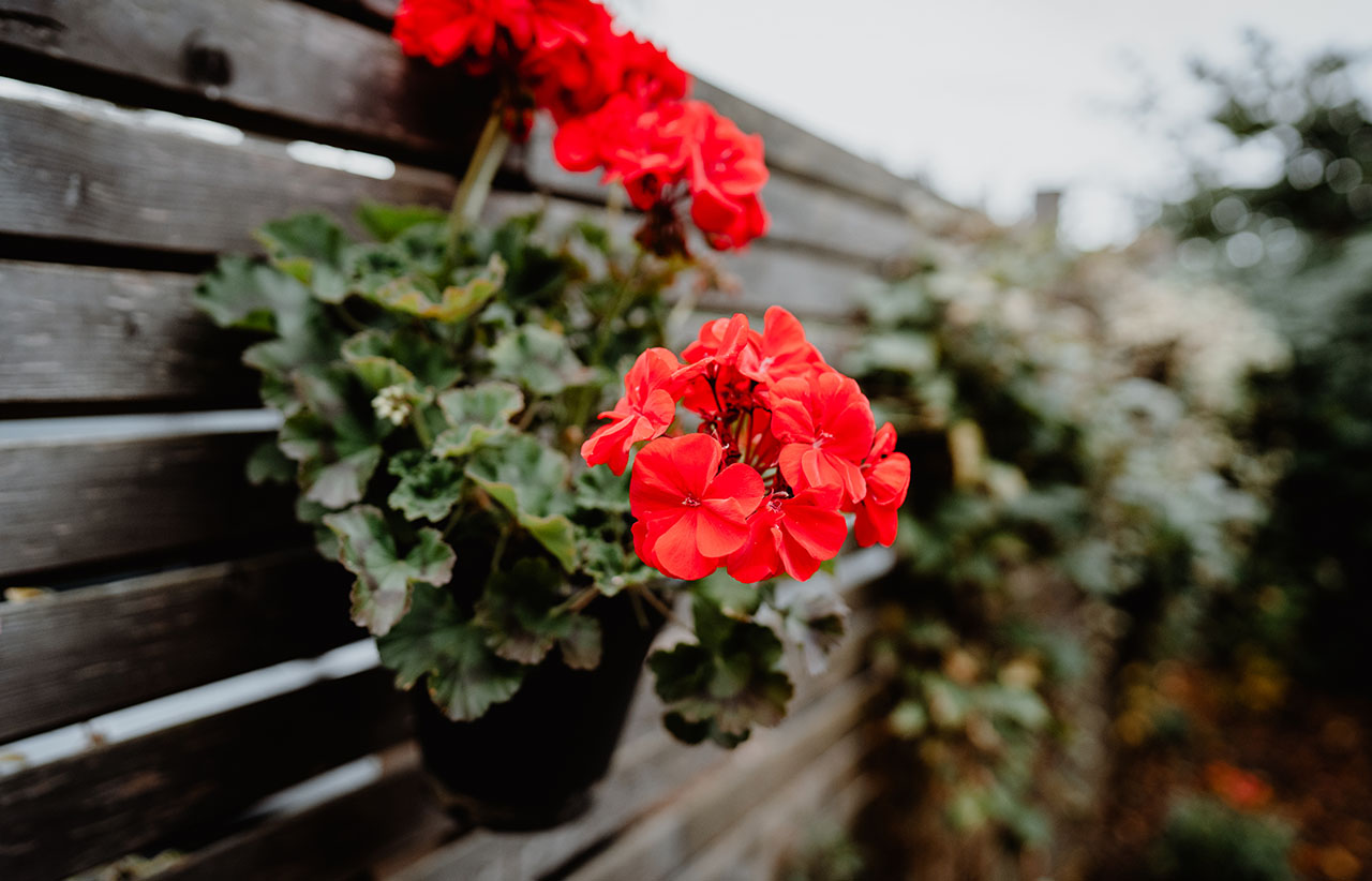 Atemzeit Center Dortmund - Galeriebild 2